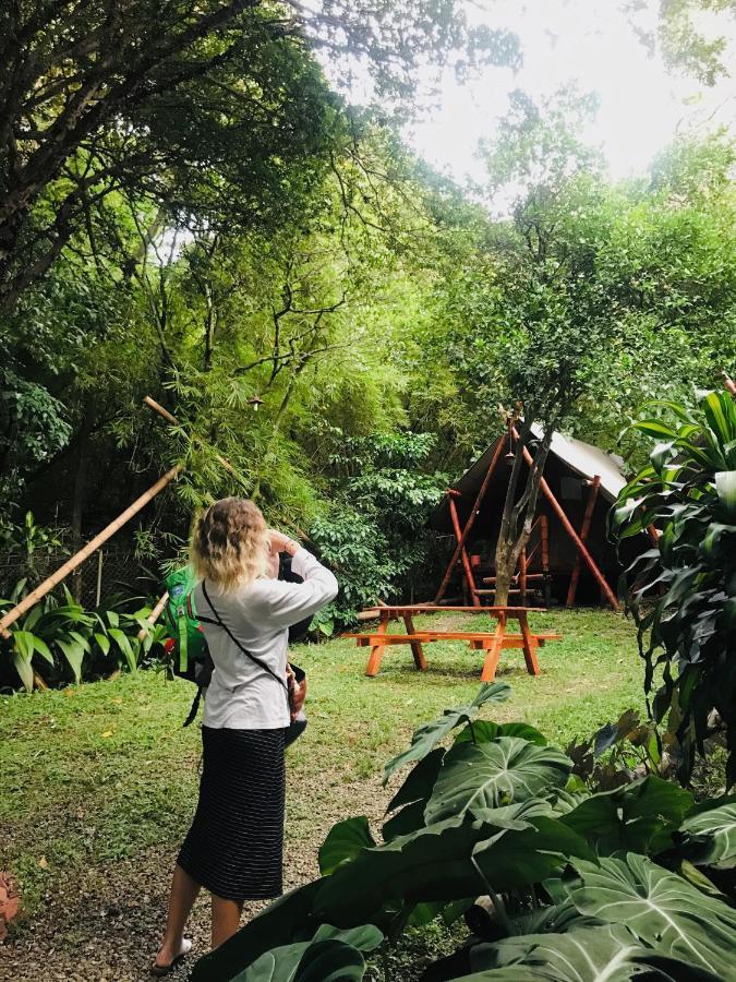 Bambu Glamping Ecolodge Medellin Exterior photo
